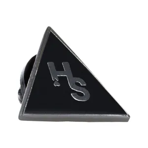 Higher Standards Triangle Pin