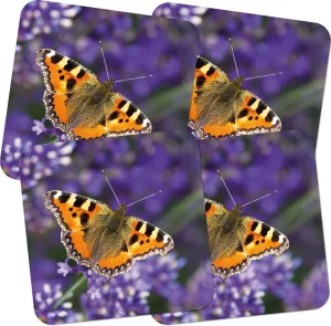 Tortoiseshell Butterly Placemats